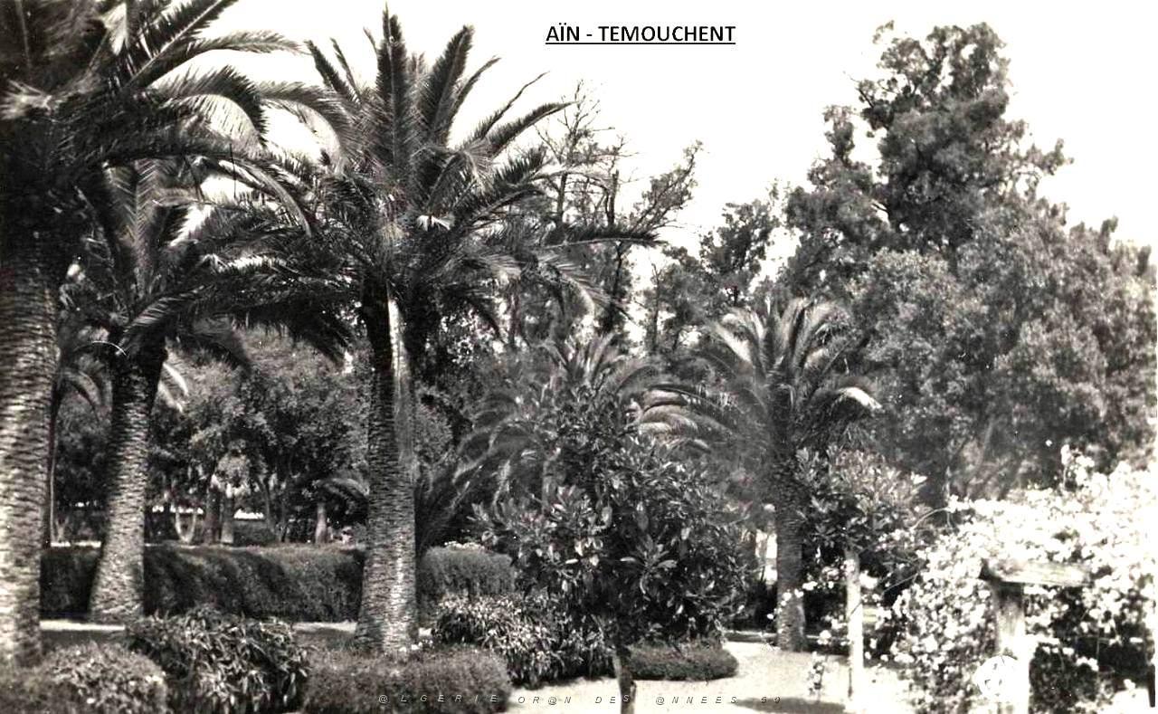 Ain temouchent 044.jpg